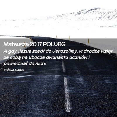 Picture 02 - Mateusza 20:17 POLUBG - A gdy Jezus szedł do Jerozolimy, w drodze - Bible Verse Picture