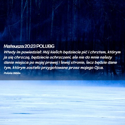 Picture 02 - Mateusza 20:23 POLUBG - Wtedy im powiedział: Mój kielich będziecie - Bible Verse Picture