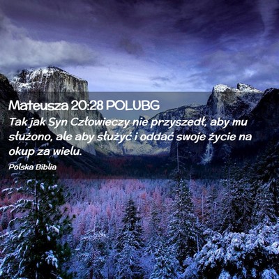 Picture 02 - Mateusza 20:28 POLUBG - Tak jak Syn Człowieczy nie przyszedł, aby mu - Bible Verse Picture