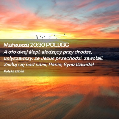 Picture 02 - Mateusza 20:30 POLUBG - A oto dwaj ślepi, siedzący przy drodze, - Bible Verse Picture