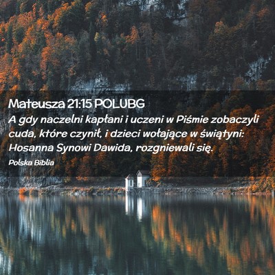 Picture 02 - Mateusza 21:15 POLUBG - A gdy naczelni kapłani i uczeni w Piśmie - Bible Verse Picture