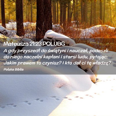 Picture 02 - Mateusza 21:23 POLUBG - A gdy przyszedł do świątyni i nauczał, - Bible Verse Picture