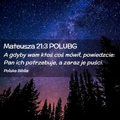 Picture 02 - Mateusza 21:3 POLUBG - A gdyby wam ktoś coś mówił, powiedzcie: Pan - Bible Verse Picture
