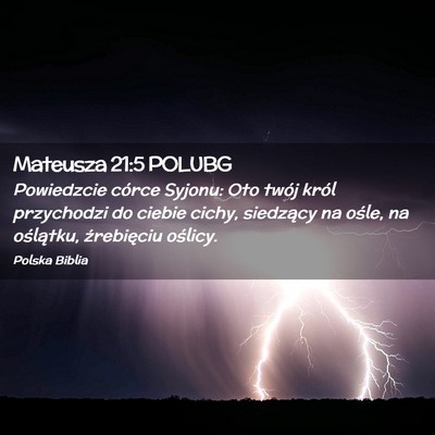 Picture 02 - Mateusza 21:5 POLUBG - Powiedzcie córce Syjonu: Oto twój król - Bible Verse Picture