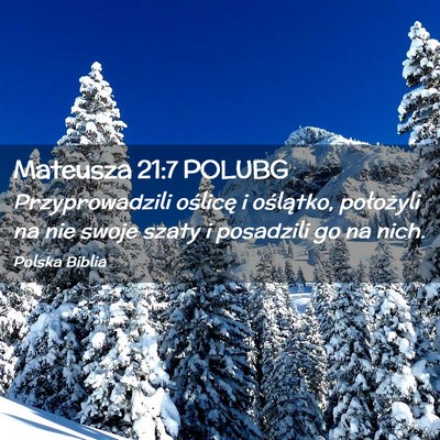 Picture 02 - Mateusza 21:7 POLUBG - Przyprowadzili oślicę i oślątko, położyli - Bible Verse Picture