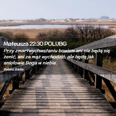Picture 02 - Mateusza 22:30 POLUBG - Przy zmartwychwstaniu bowiem ani nie będą się - Bible Verse Picture