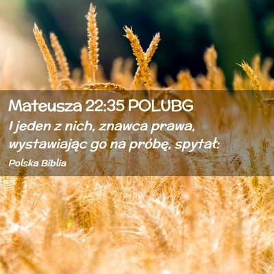 Picture 02 - Mateusza 22:35 POLUBG - I jeden z nich, znawca prawa, wystawiając go na - Bible Verse Picture