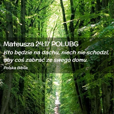 Picture 02 - Mateusza 24:17 POLUBG - Kto będzie na dachu, niech nie schodzi, aby coś - Bible Verse Picture