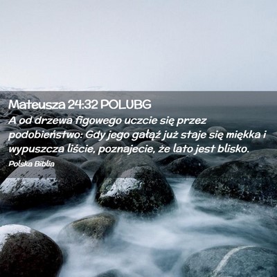 Picture 02 - Mateusza 24:32 POLUBG - A od drzewa figowego uczcie się przez - Bible Verse Picture