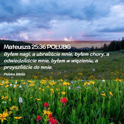 Picture 02 - Mateusza 25:36 POLUBG - Byłem nagi, a ubraliście mnie, byłem chory, a - Bible Verse Picture