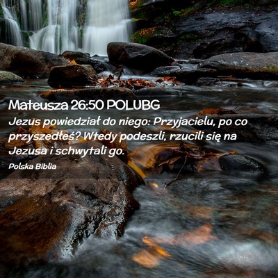 Picture 02 - Mateusza 26:50 POLUBG - Jezus powiedział do niego: Przyjacielu, po co - Bible Verse Picture