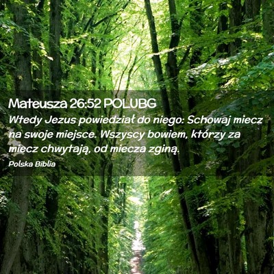 Picture 02 - Mateusza 26:52 POLUBG - Wtedy Jezus powiedział do niego: Schowaj miecz - Bible Verse Picture