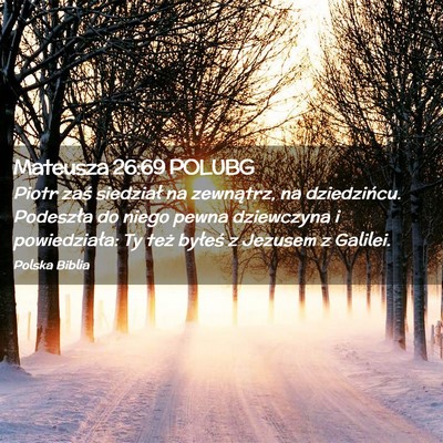 Picture 02 - Mateusza 26:69 POLUBG - Piotr zaś siedział na zewnątrz, na - Bible Verse Picture