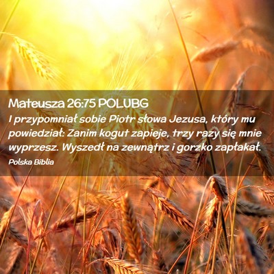Picture 02 - Mateusza 26:75 POLUBG - I przypomniał sobie Piotr słowa Jezusa, który - Bible Verse Picture