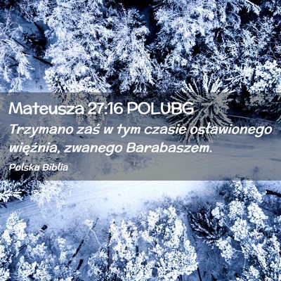 Picture 02 - Mateusza 27:16 POLUBG - Trzymano zaś w tym czasie osławionego - Bible Verse Picture