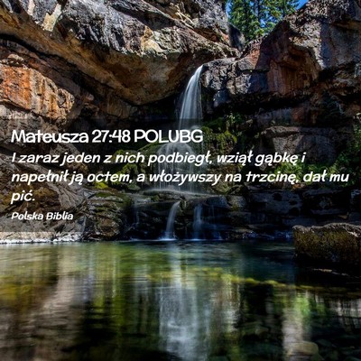 Picture 02 - Mateusza 27:48 POLUBG - I zaraz jeden z nich podbiegł, wziął gąbkę i - Bible Verse Picture