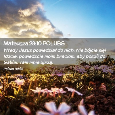 Picture 02 - Mateusza 28:10 POLUBG - Wtedy Jezus powiedział do nich: Nie bójcie - Bible Verse Picture