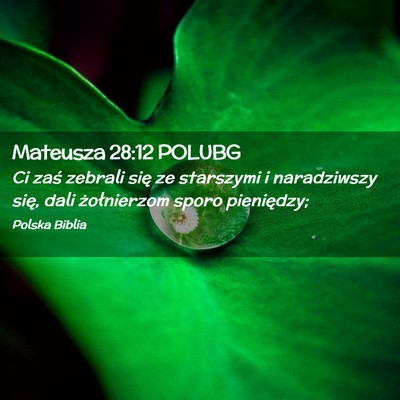Picture 02 - Mateusza 28:12 POLUBG - Ci zaś zebrali się ze starszymi i naradziwszy - Bible Verse Picture