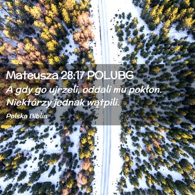 Picture 02 - Mateusza 28:17 POLUBG - A gdy go ujrzeli, oddali mu pokłon. Niektórzy - Bible Verse Picture