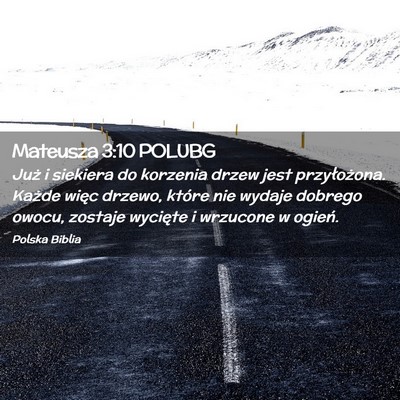 Picture 02 - Mateusza 3:10 POLUBG - Już i siekiera do korzenia drzew jest - Bible Verse Picture