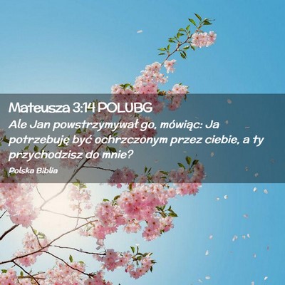 Picture 02 - Mateusza 3:14 POLUBG - Ale Jan powstrzymywał go, mówiąc: Ja - Bible Verse Picture