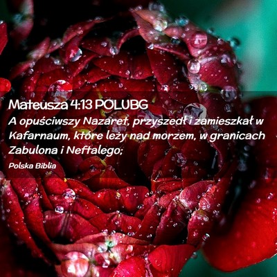 Picture 02 - Mateusza 4:13 POLUBG - A opuściwszy Nazaret, przyszedł i zamieszkał w - Bible Verse Picture