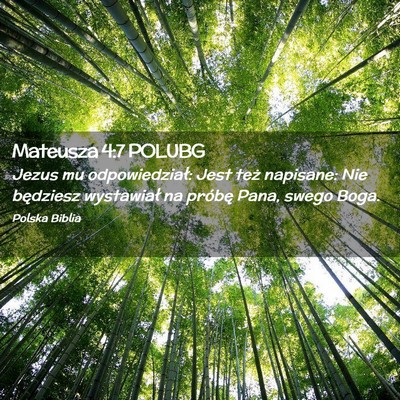 Picture 02 - Mateusza 4:7 POLUBG - Jezus mu odpowiedział: Jest też napisane: Nie - Bible Verse Picture