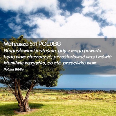 Picture 02 - Mateusza 5:11 POLUBG - Błogosławieni jesteście, gdy z mego powodu - Bible Verse Picture
