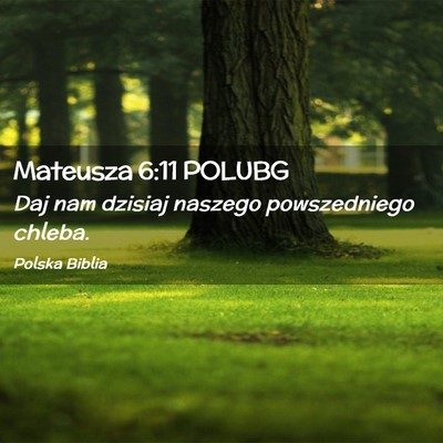 Picture 02 - Mateusza 6:11 POLUBG - Daj nam dzisiaj naszego powszedniego - Bible Verse Picture