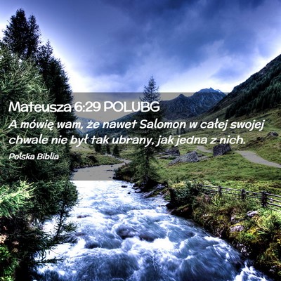 Picture 02 - Mateusza 6:29 POLUBG - A mówię wam, że nawet Salomon w całej swojej - Bible Verse Picture
