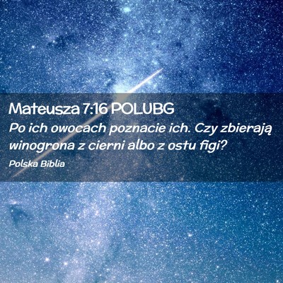 Picture 02 - Mateusza 7:16 POLUBG - Po ich owocach poznacie ich. Czy zbierają - Bible Verse Picture