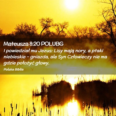Picture 02 - Mateusza 8:20 POLUBG - I powiedział mu Jezus: Lisy mają nory, a ptaki - Bible Verse Picture