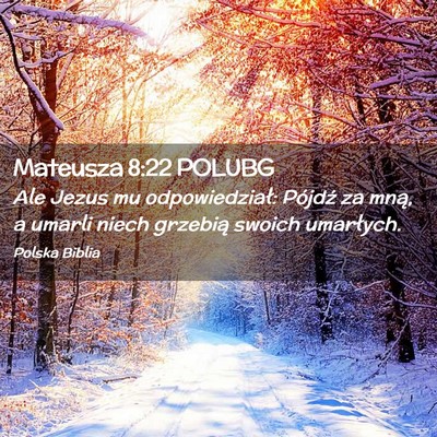 Picture 02 - Mateusza 8:22 POLUBG - Ale Jezus mu odpowiedział: Pójdź za mną, a - Bible Verse Picture