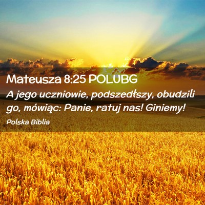 Picture 02 - Mateusza 8:25 POLUBG - A jego uczniowie, podszedłszy, obudzili go, - Bible Verse Picture