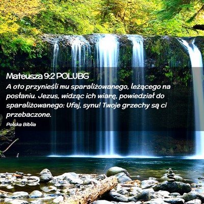 Picture 02 - Mateusza 9:2 POLUBG - A oto przynieśli mu sparaliżowanego, leżącego - Bible Verse Picture