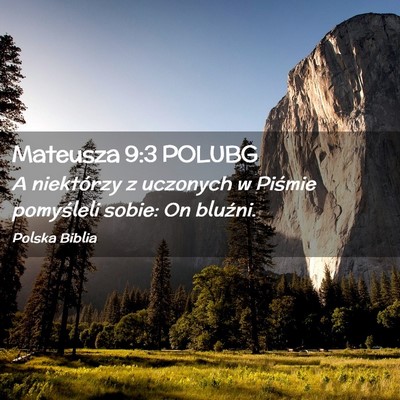 Picture 02 - Mateusza 9:3 POLUBG - A niektórzy z uczonych w Piśmie pomyśleli - Bible Verse Picture