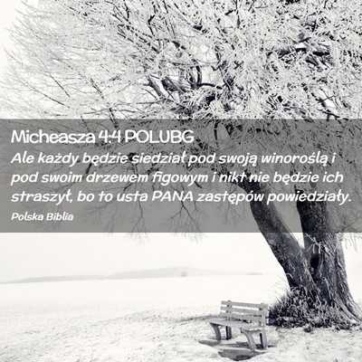 Picture 02 - Micheasza 4:4 POLUBG - Ale każdy będzie siedział pod swoją - Bible Verse Picture