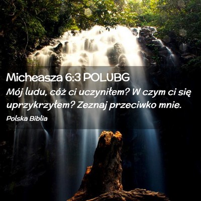 Picture 02 - Micheasza 6:3 POLUBG - Mój ludu, cóż ci uczyniłem? W czym ci się - Bible Verse Picture
