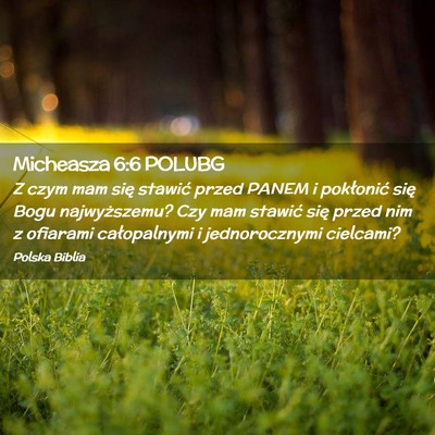 Picture 02 - Micheasza 6:6 POLUBG - Z czym mam się stawić przed PANEM i pokłonić - Bible Verse Picture