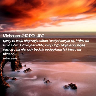Picture 02 - Micheasza 7:10 POLUBG - Ujrzy to moja nieprzyjaciółka i wstyd okryje - Bible Verse Picture