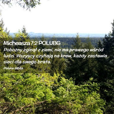 Picture 02 - Micheasza 7:2 POLUBG - Pobożny zginął z ziemi, nie ma prawego wśród - Bible Verse Picture