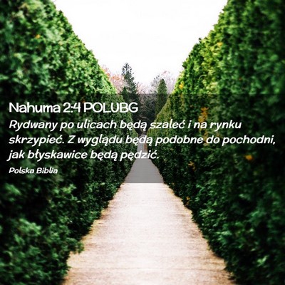Picture 02 - Nahuma 2:4 POLUBG - Rydwany po ulicach będą szaleć i na rynku - Bible Verse Picture