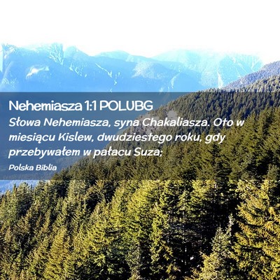 Picture 02 - Nehemiasza 1:1 POLUBG - Słowa Nehemiasza, syna Chakaliasza. Oto w - Bible Verse Picture