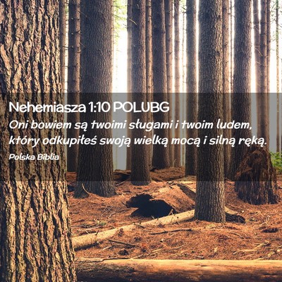 Picture 02 - Nehemiasza 1:10 POLUBG - Oni bowiem są twoimi sługami i twoim ludem, - Bible Verse Picture