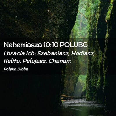 Picture 02 - Nehemiasza 10:10 POLUBG - I bracia ich: Szebaniasz, Hodiasz, Kelita, - Bible Verse Picture