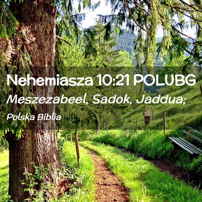 Picture 02 - Nehemiasza 10:21 POLUBG - Meszezabeel, Sadok, - Bible Verse Picture