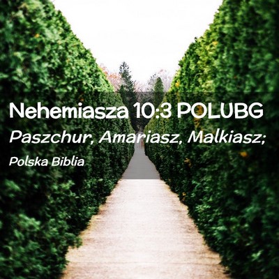 Picture 02 - Nehemiasza 10:3 POLUBG - Paszchur, Amariasz, - Bible Verse Picture