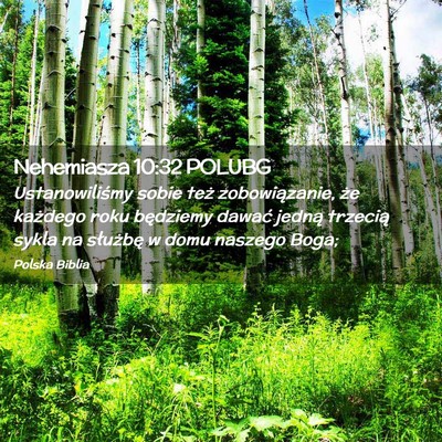 Picture 02 - Nehemiasza 10:32 POLUBG - Ustanowiliśmy sobie też zobowiązanie, że - Bible Verse Picture