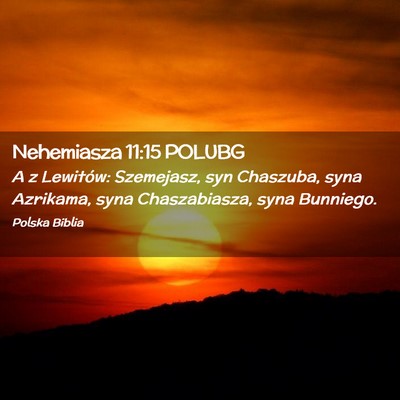 Picture 02 - Nehemiasza 11:15 POLUBG - A z Lewitów: Szemejasz, syn Chaszuba, syna - Bible Verse Picture