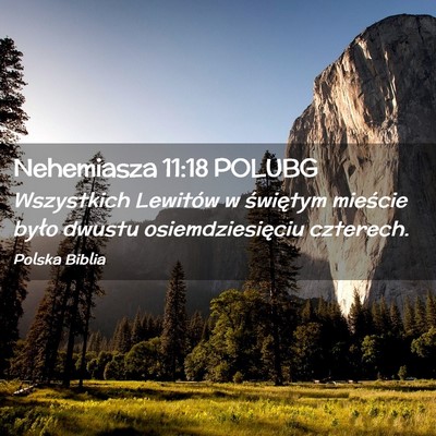 Picture 02 - Nehemiasza 11:18 POLUBG - Wszystkich Lewitów w świętym mieście było - Bible Verse Picture
